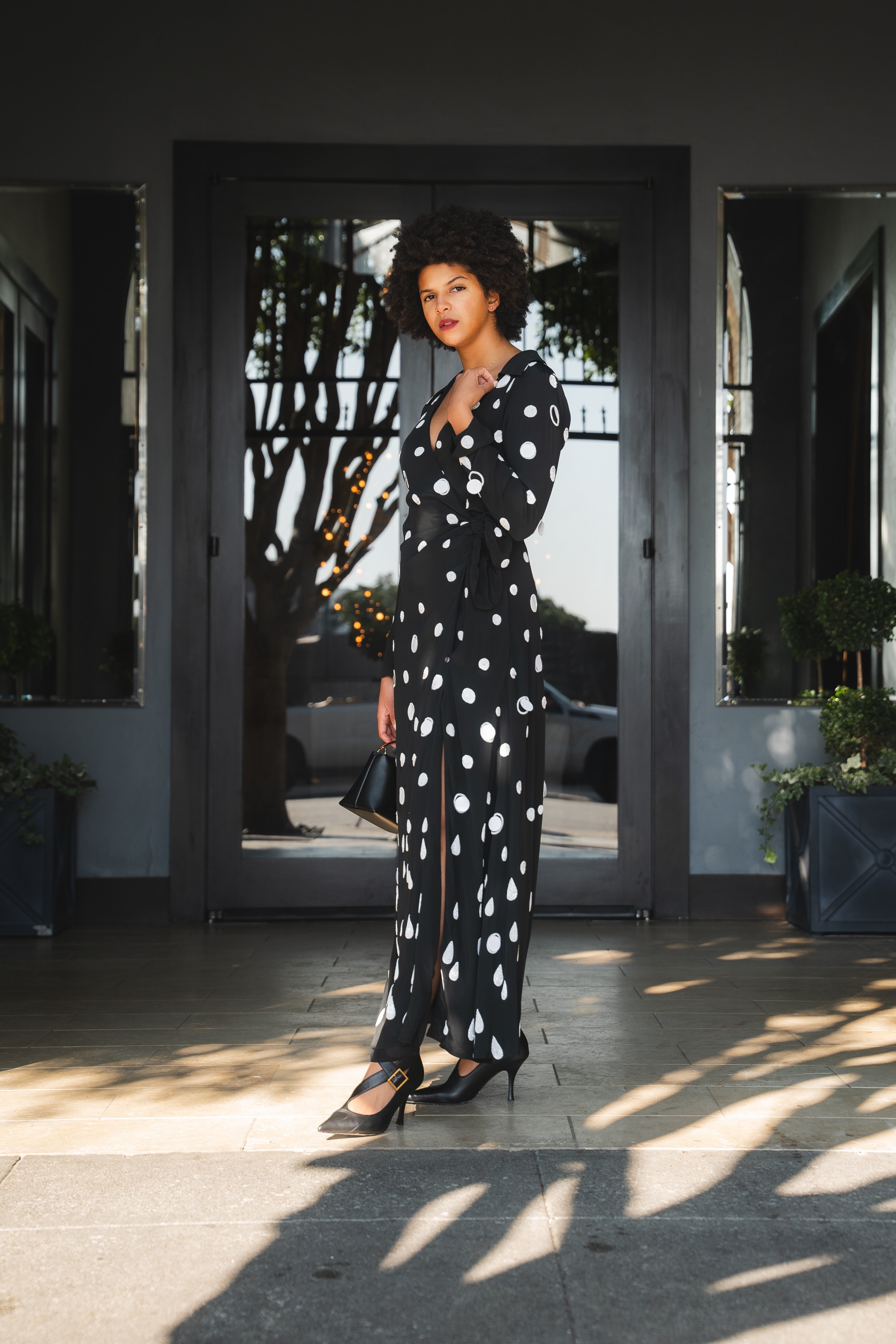 Marion Polka Embroidered Dress