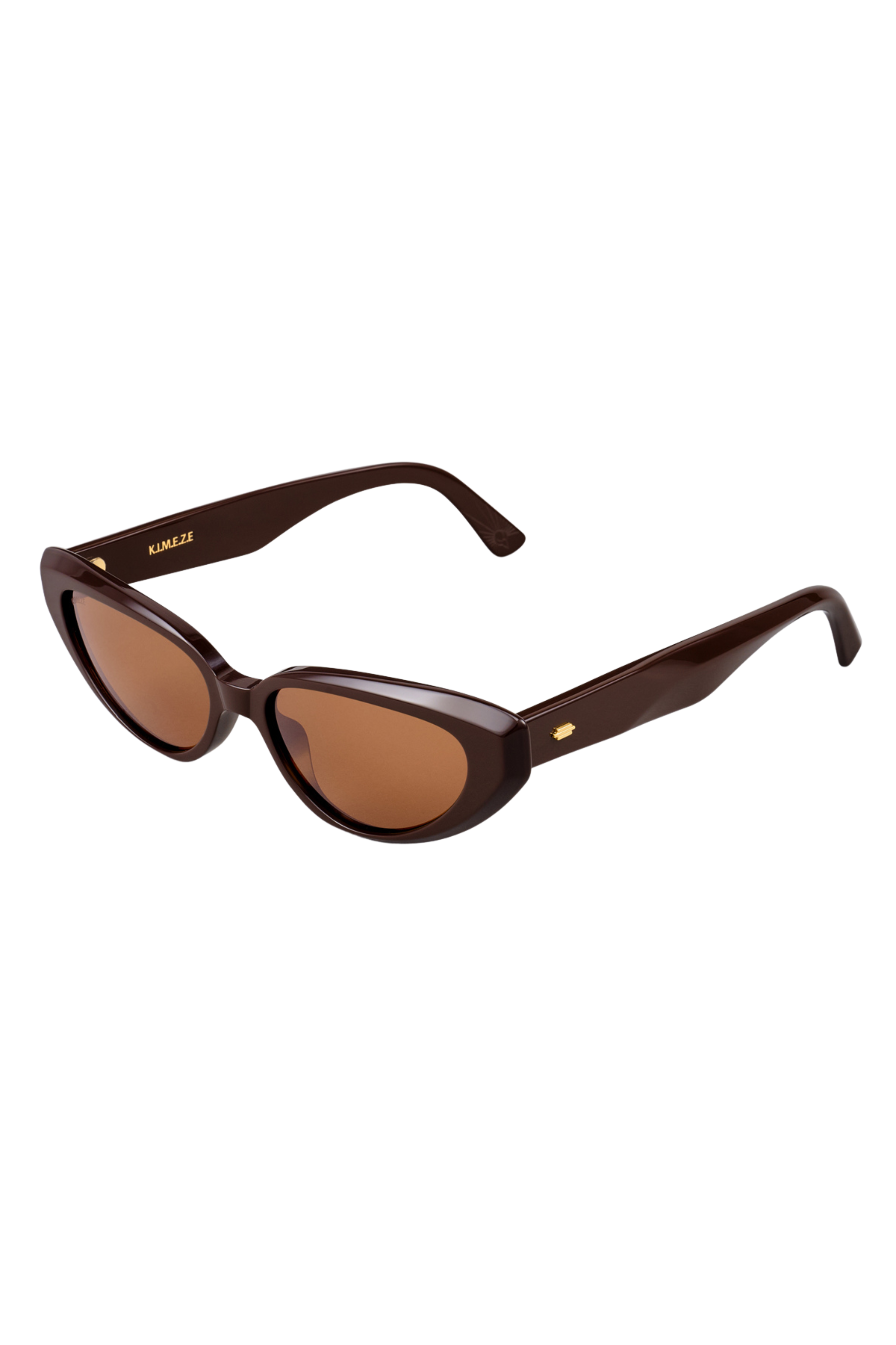 Zawe II Sunglasses in Chocolate
