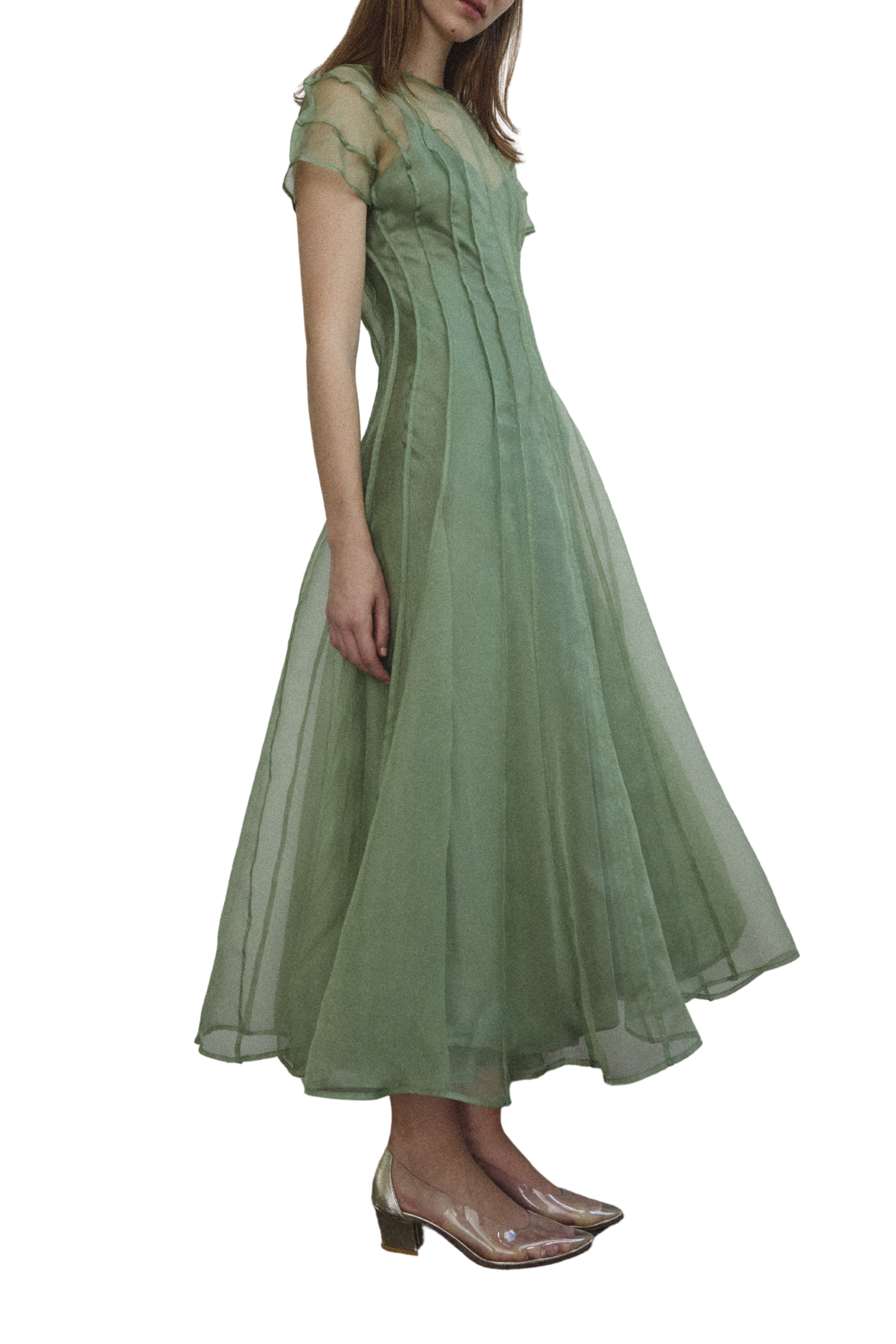 Anemoia Midi Dress