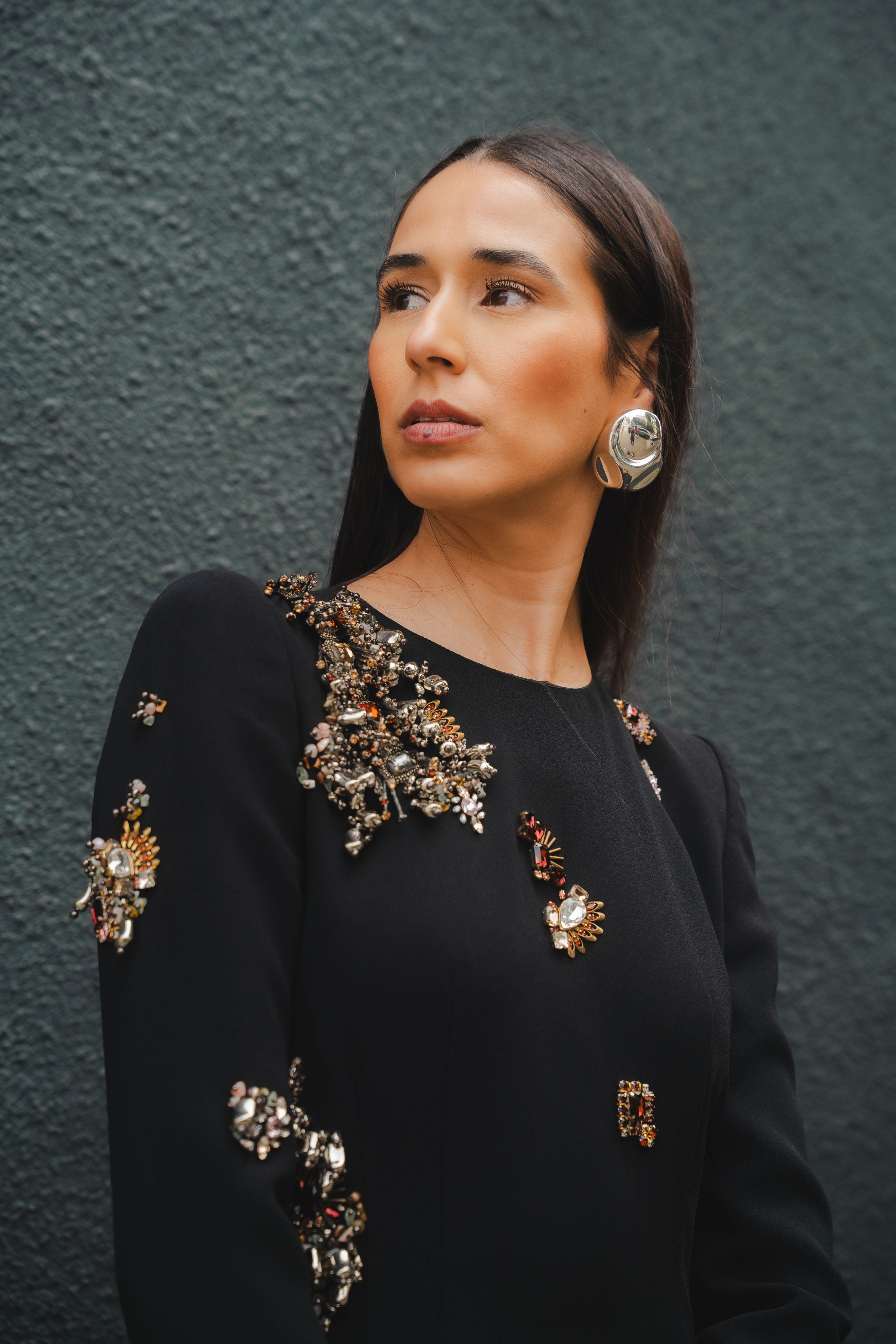 Dalista Embroidered Dress