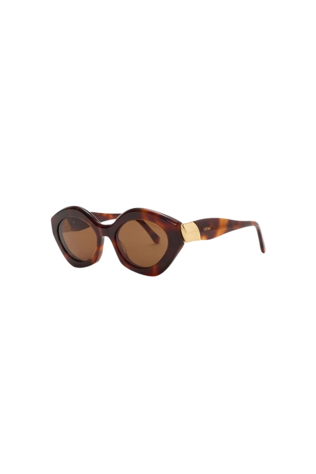 Coil Sunglasses - Dark Havana / Brown