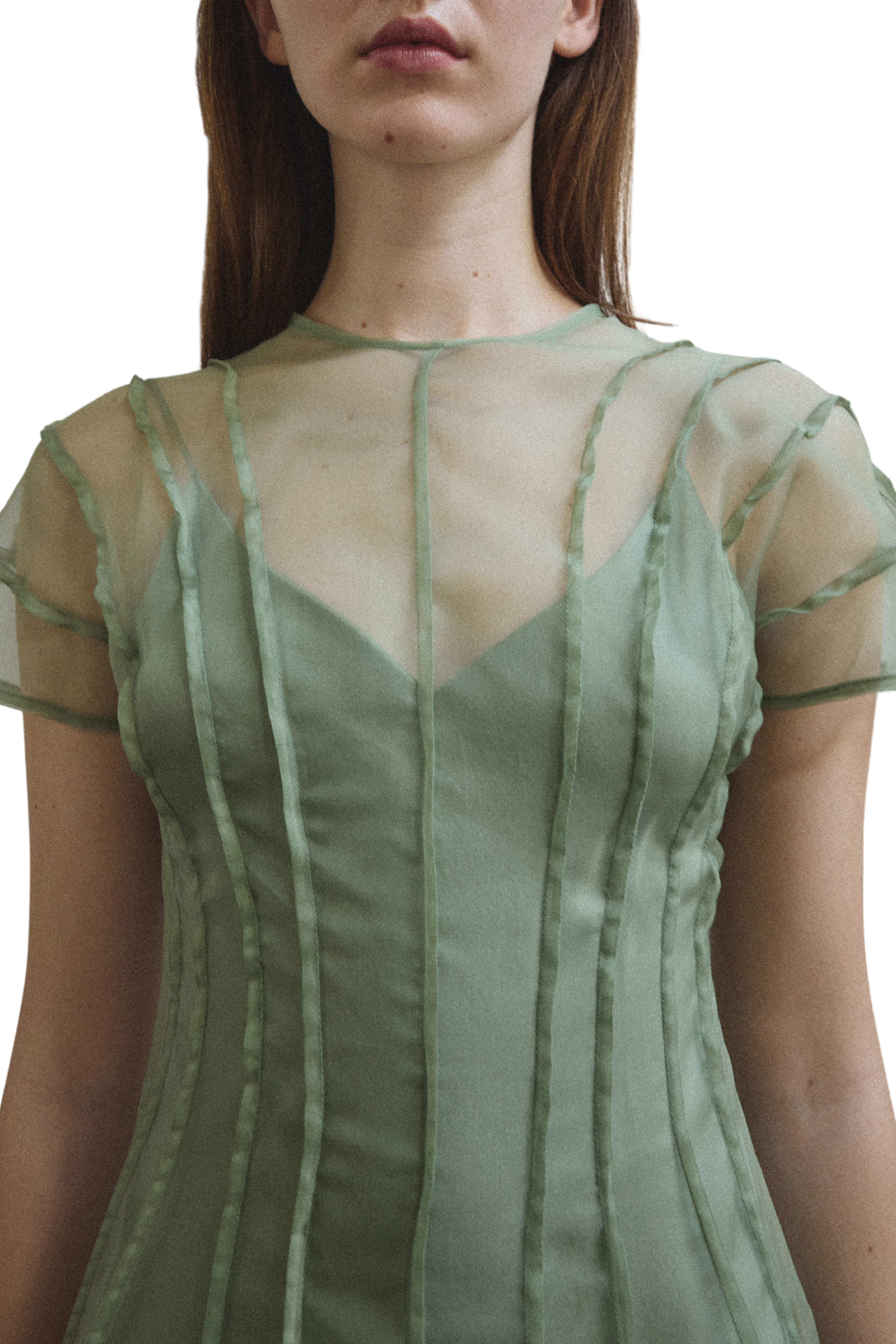 Anemoia Midi Dress