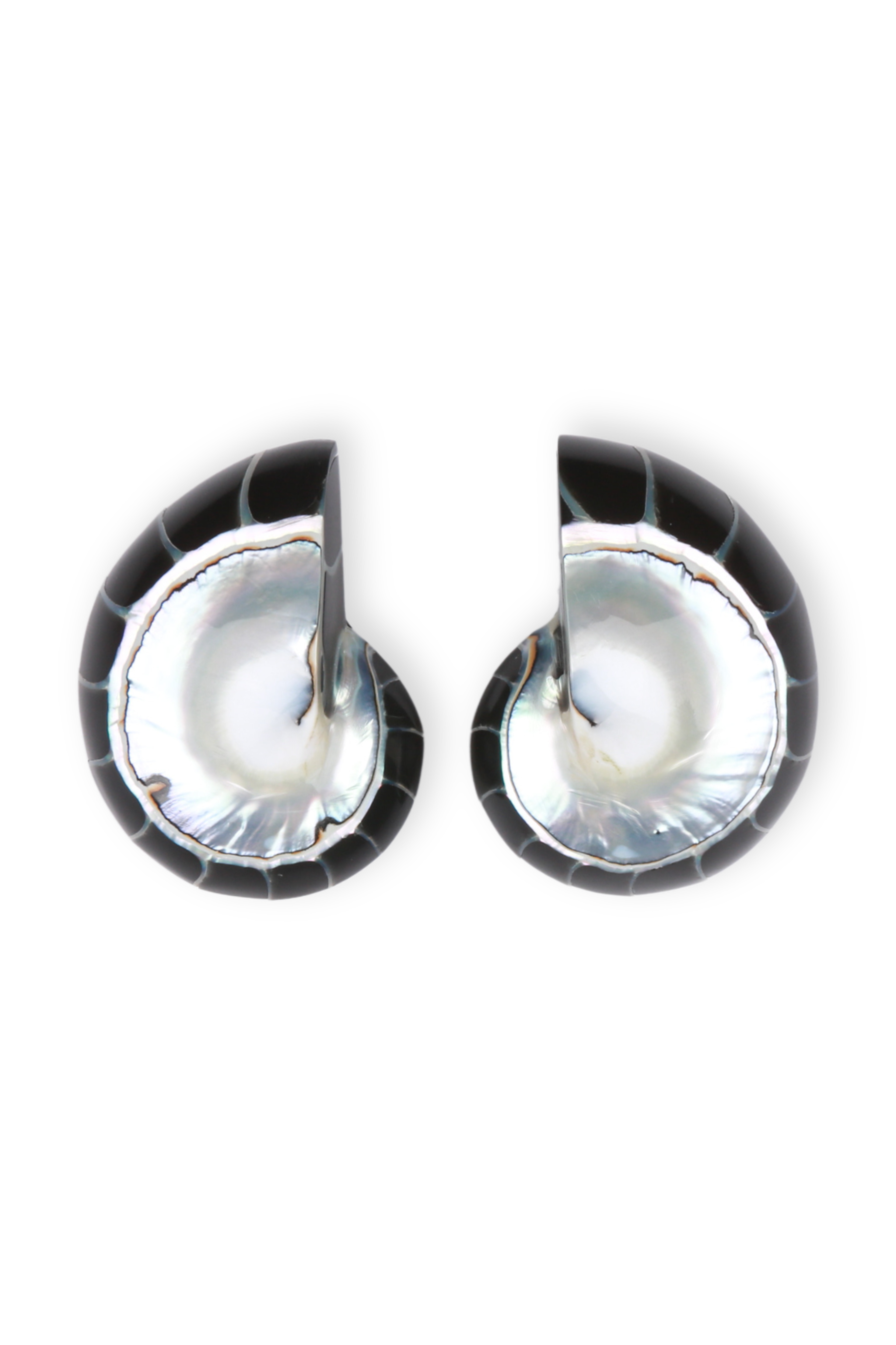 Nautilus Earrings