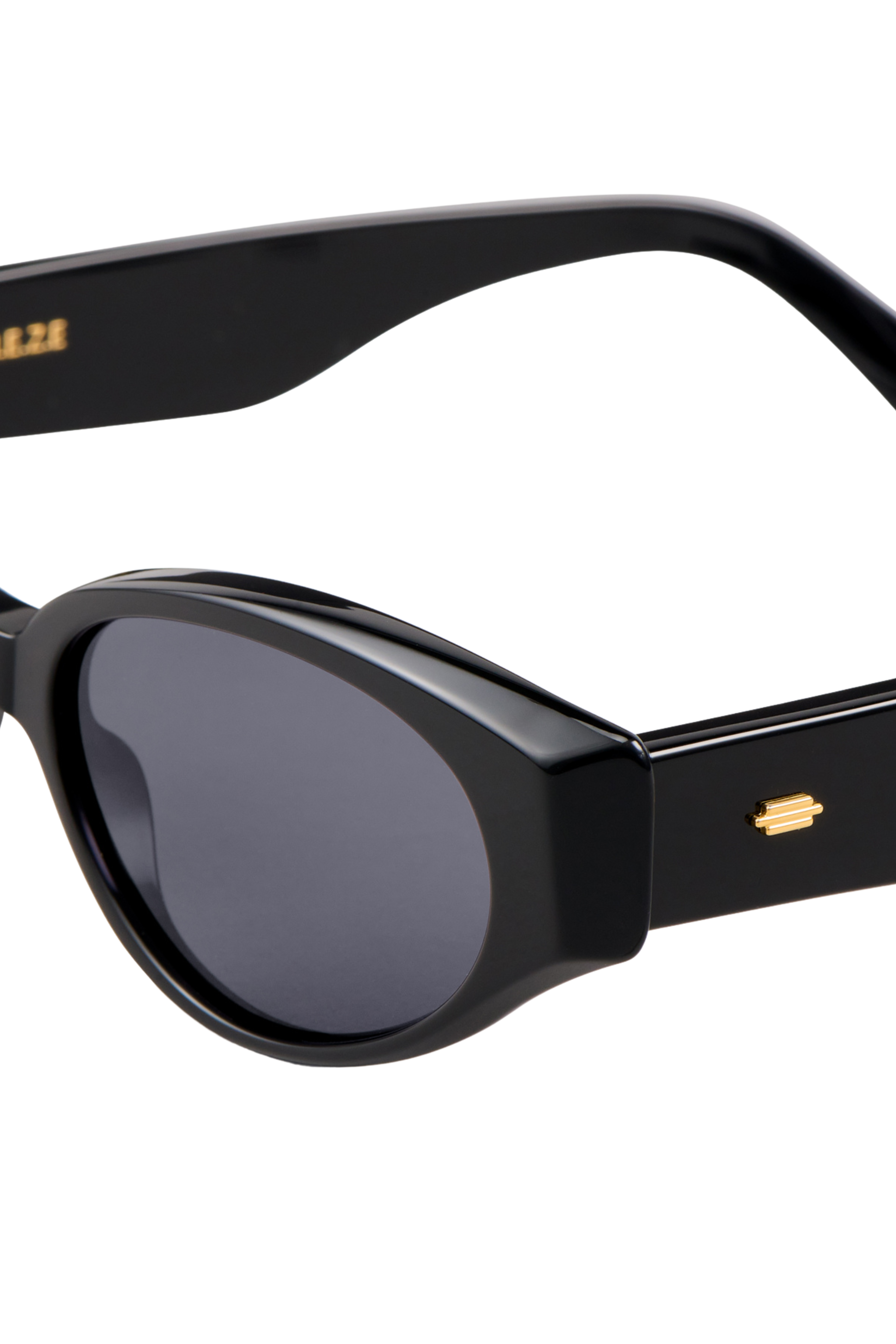 Gabriel II Sunglasses in Black