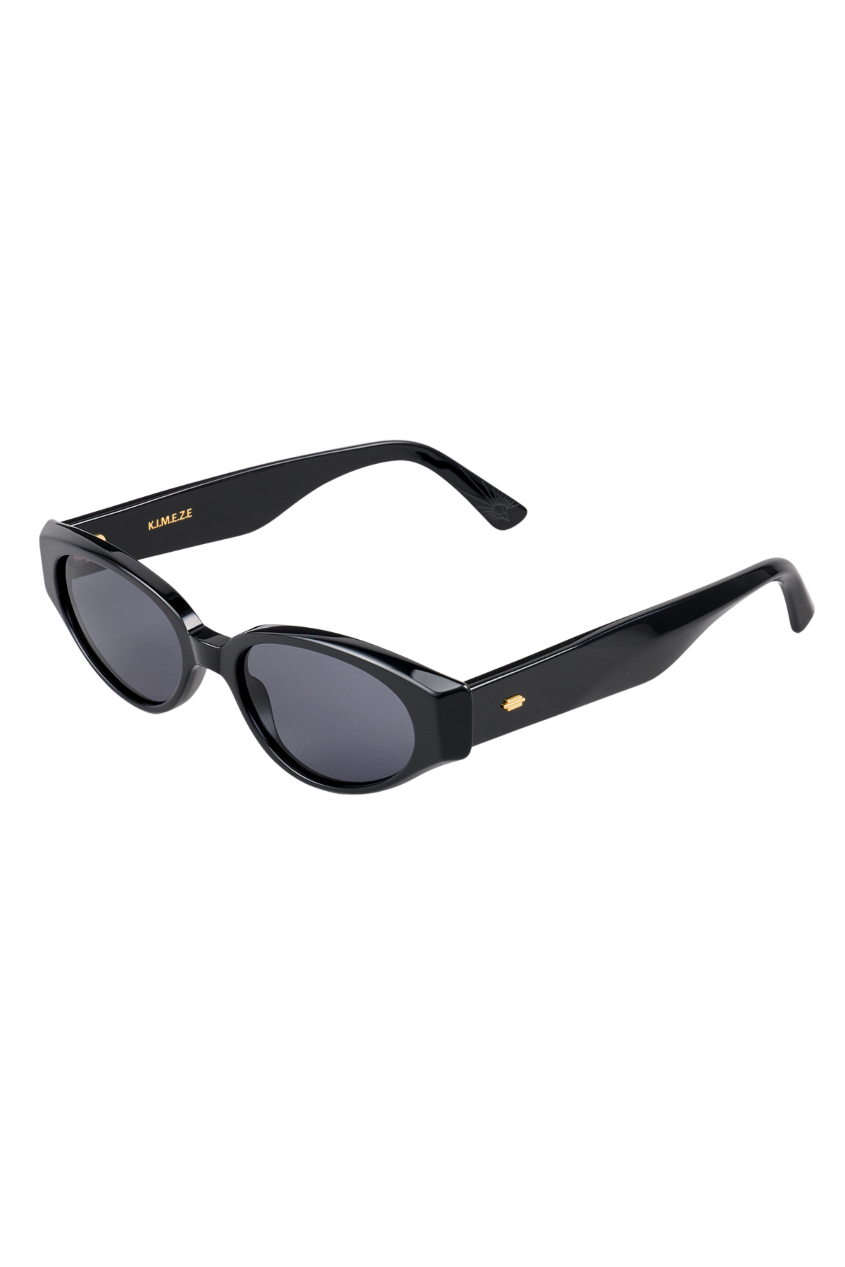 Gabriel II Sunglasses in Black