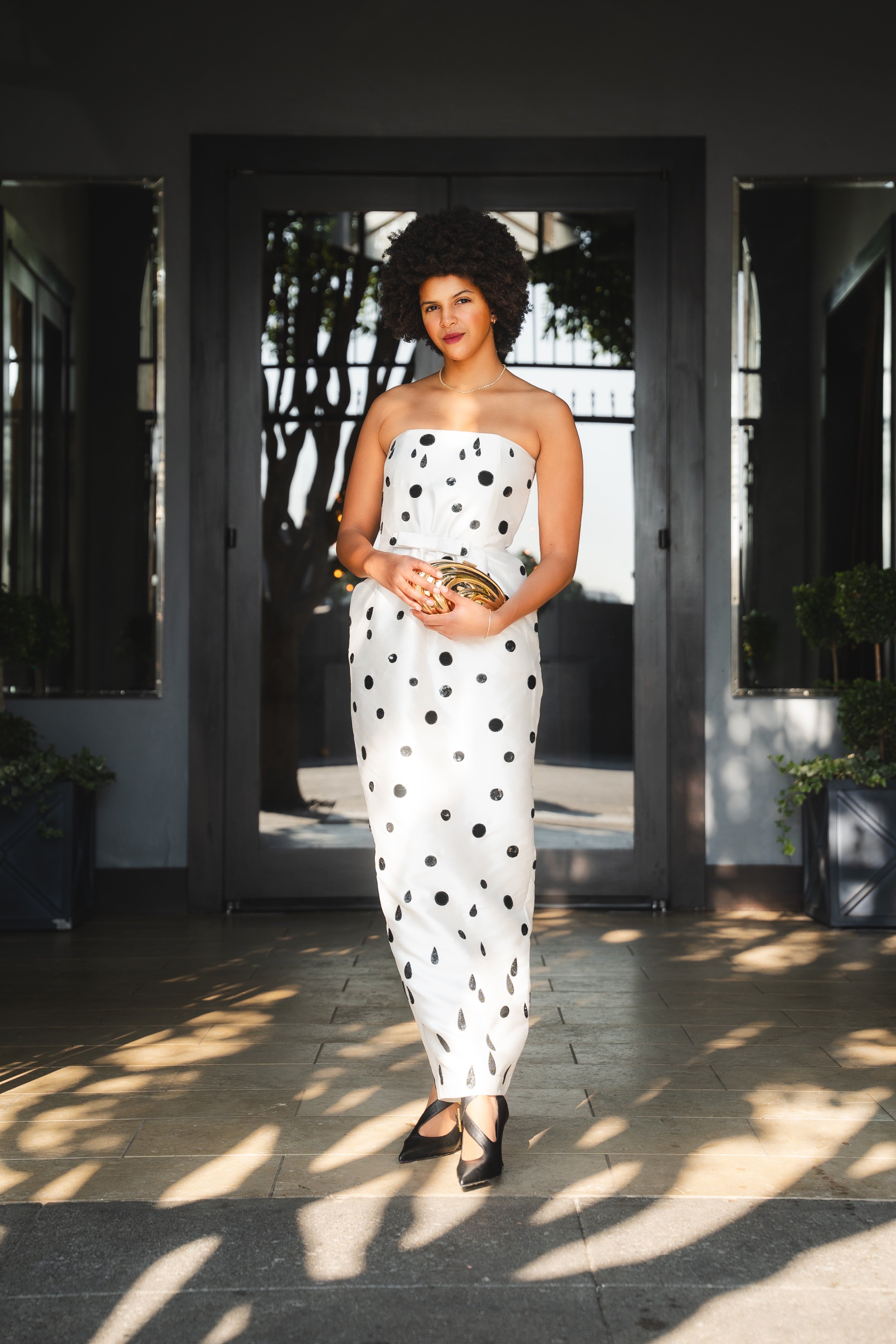 Lenette Embroidered Dress