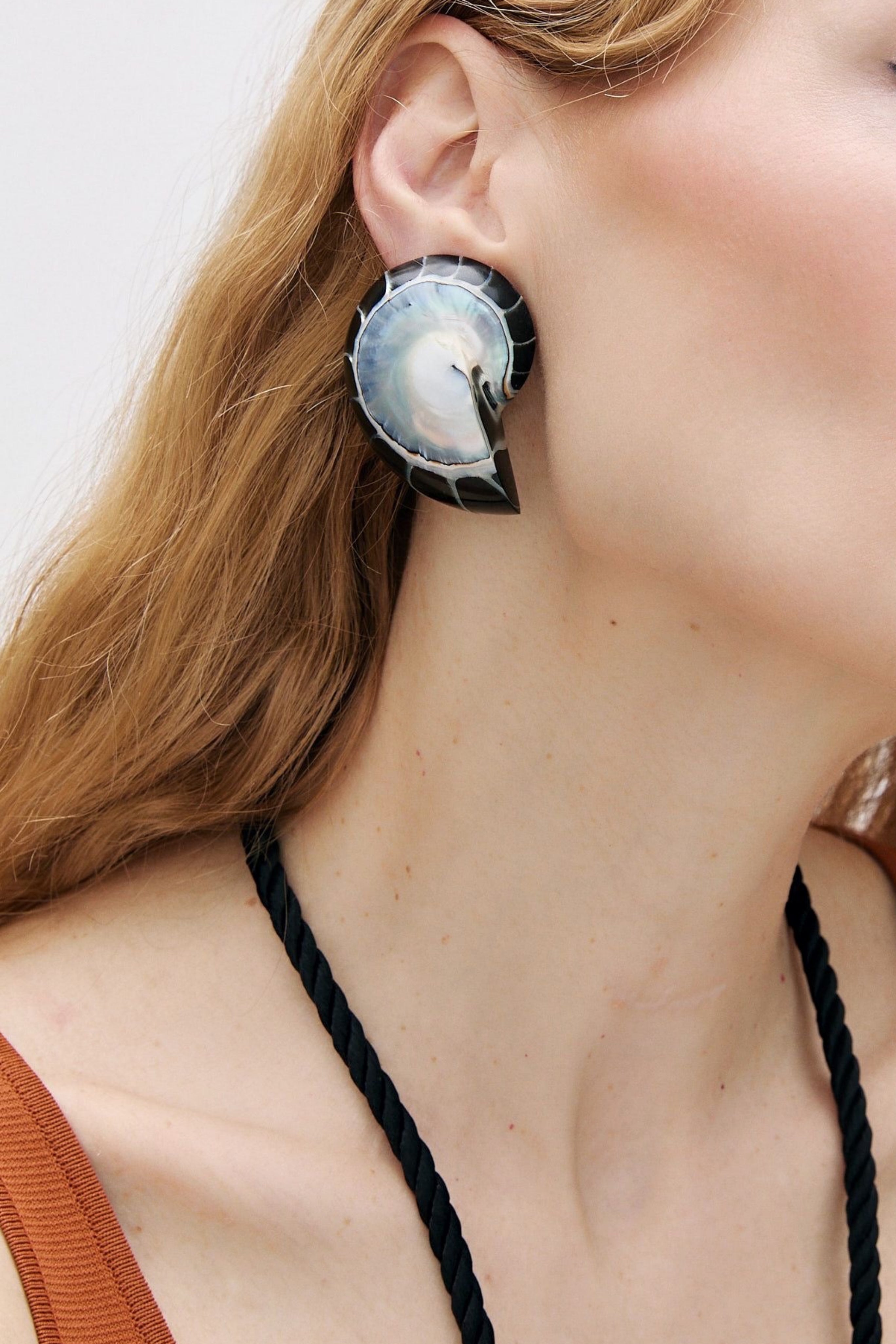 Nautilus Earrings in Black