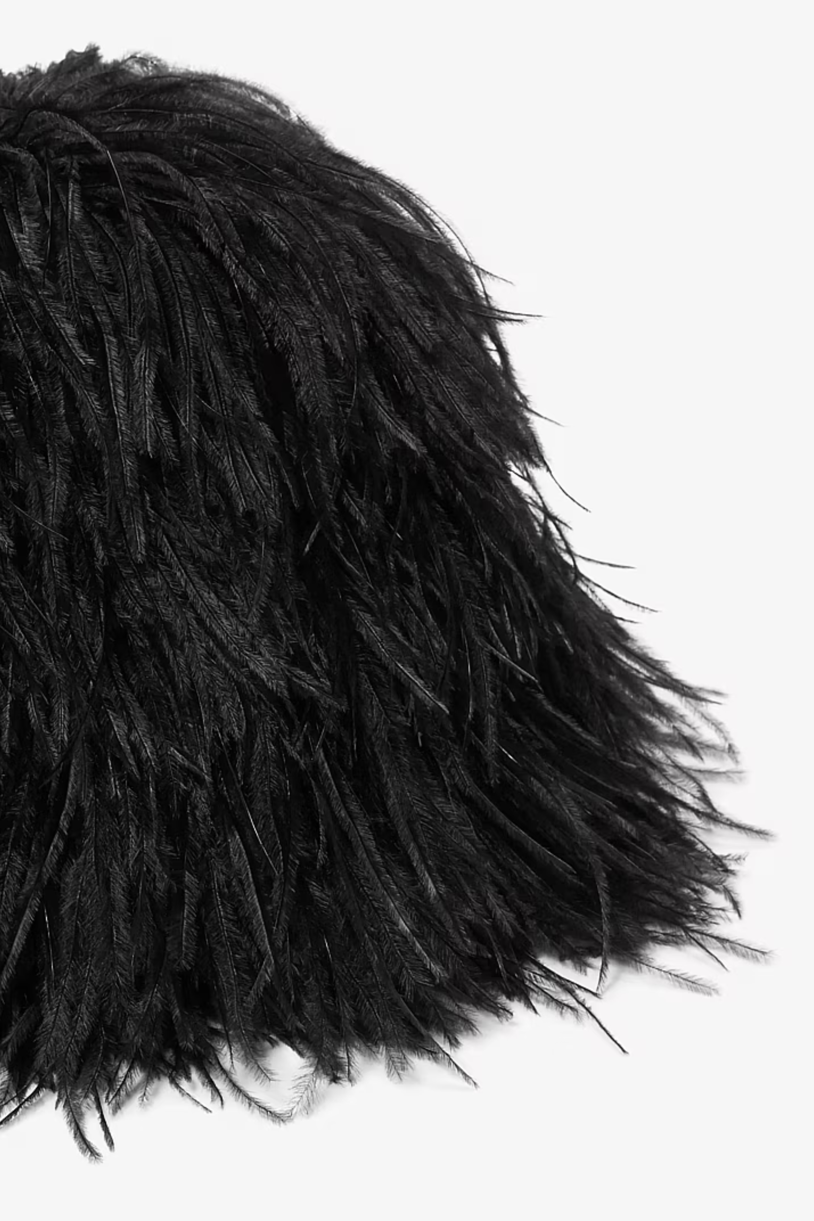 Hand Embroidered Ostrich Plumes Shell