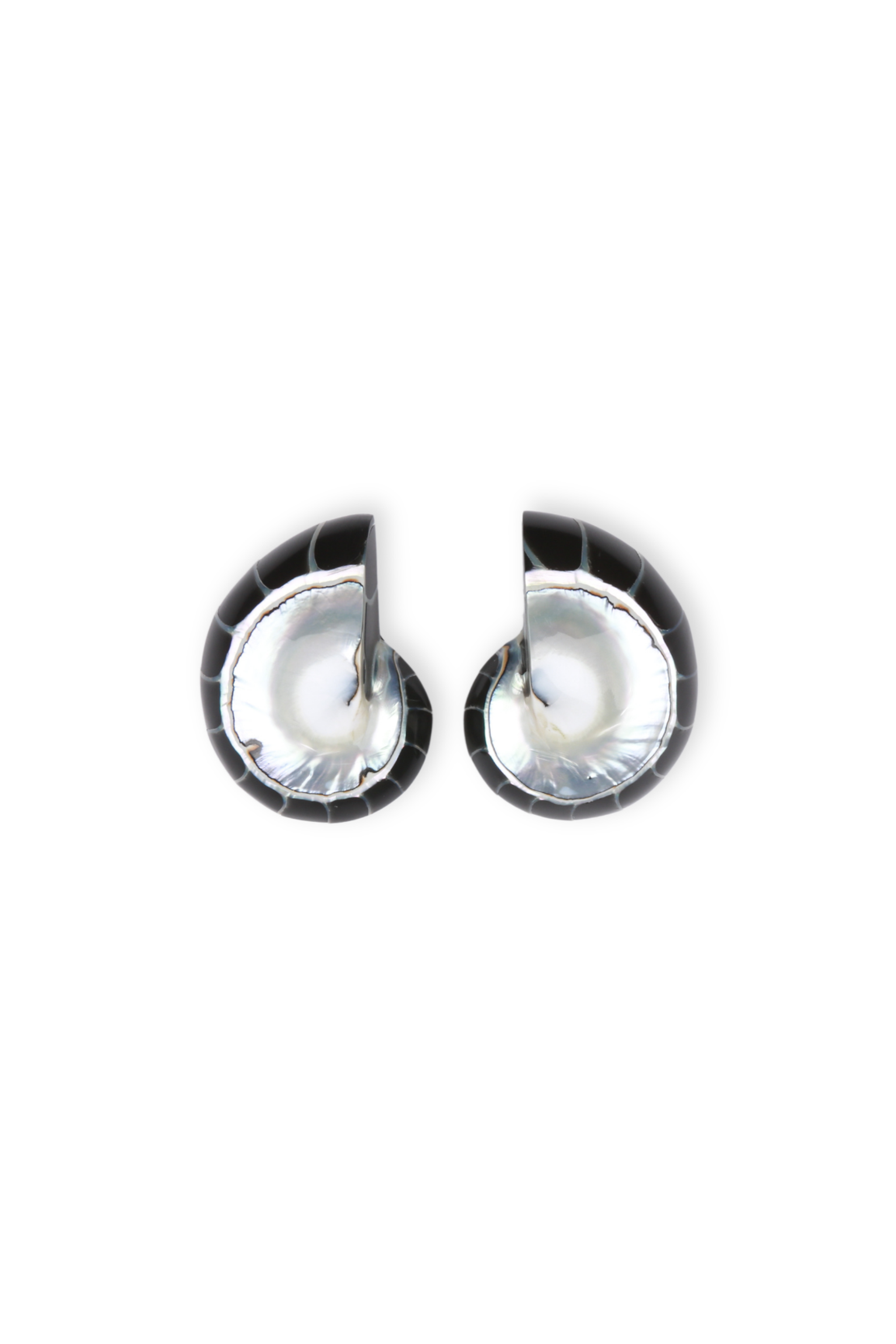 Nautilus Earrings in Black