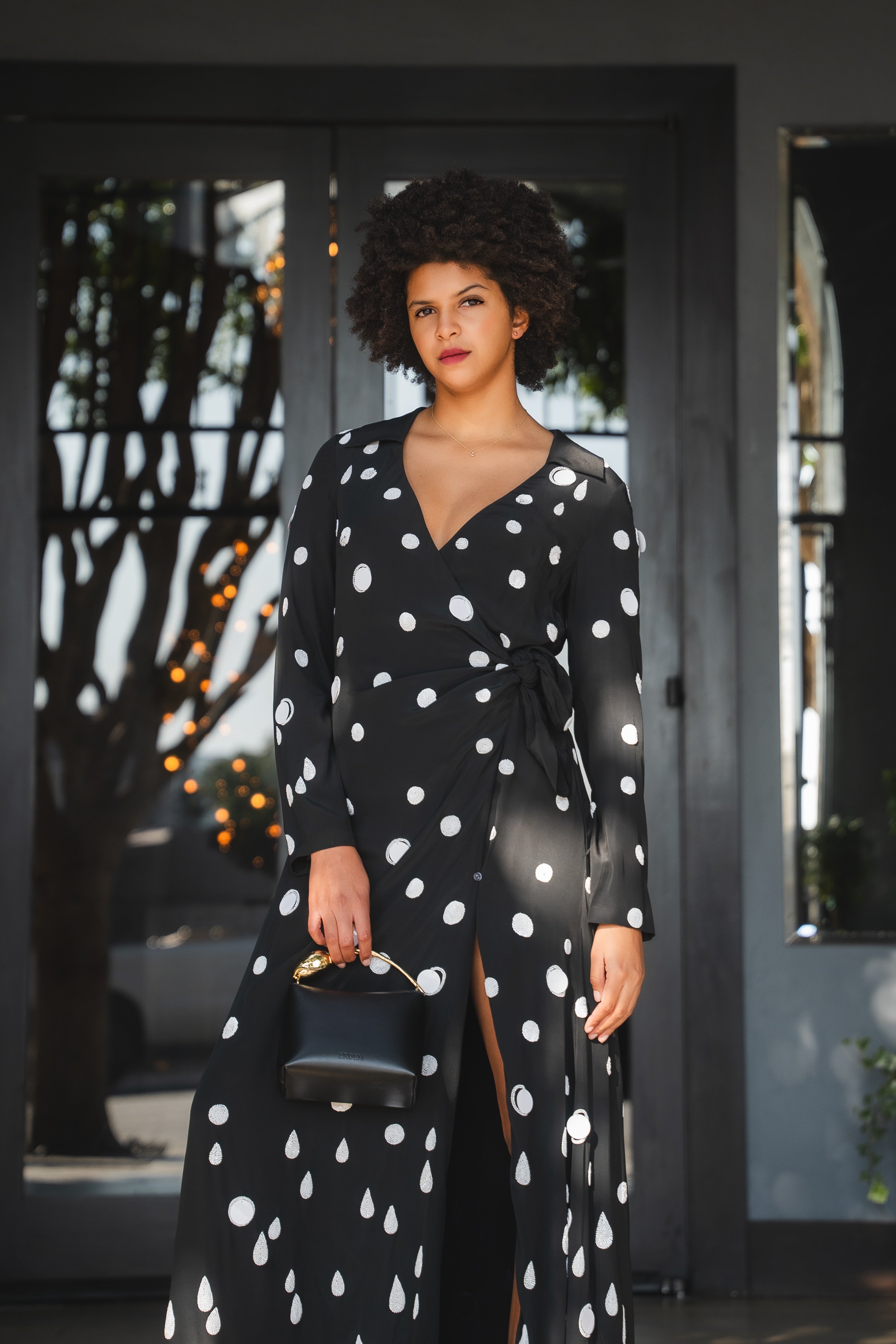 Marion Polka Embroidered Dress