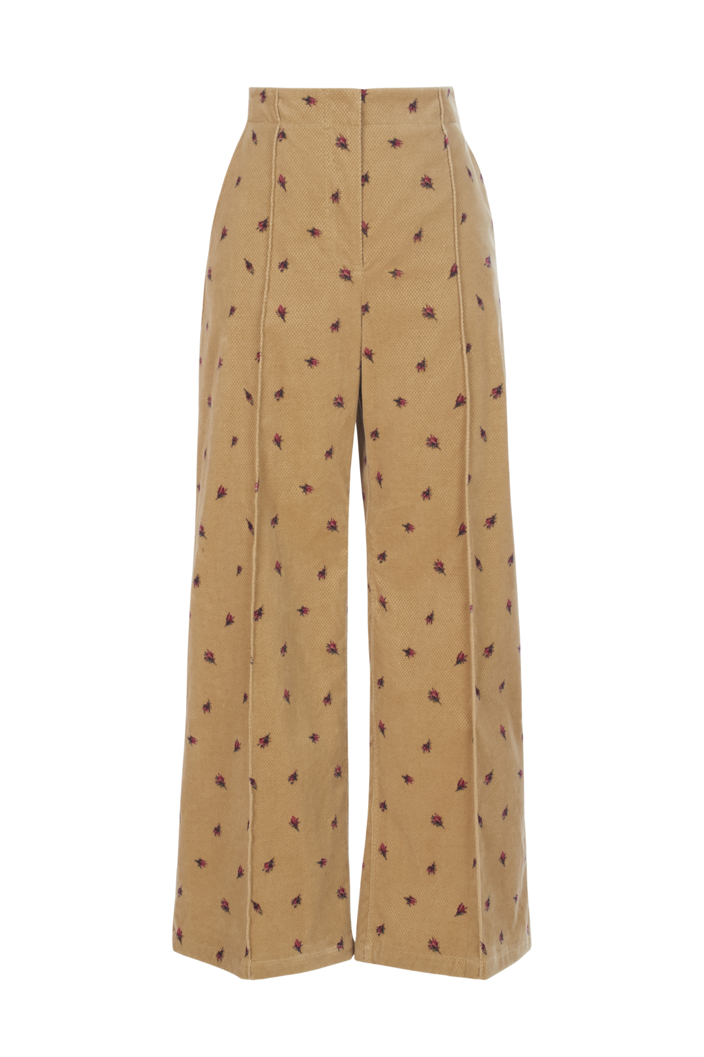 Barros Pant