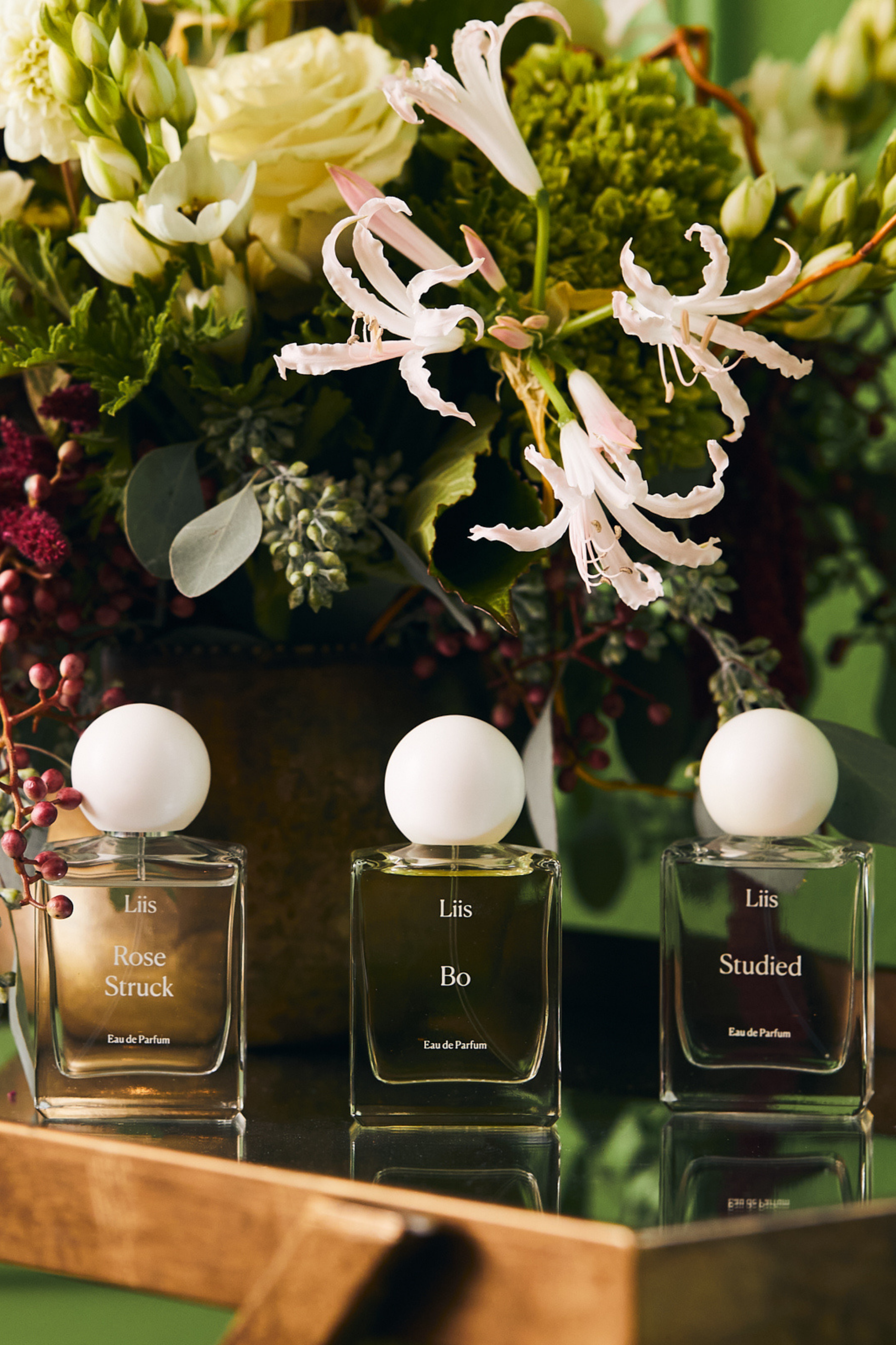 Liis Fragrance Studied Eau de Parfum