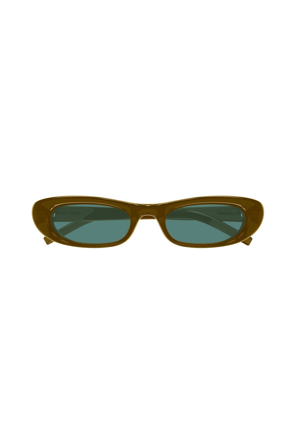 SL 557 SHADE PLUMP Sunglasses - Brown/Brown/Green