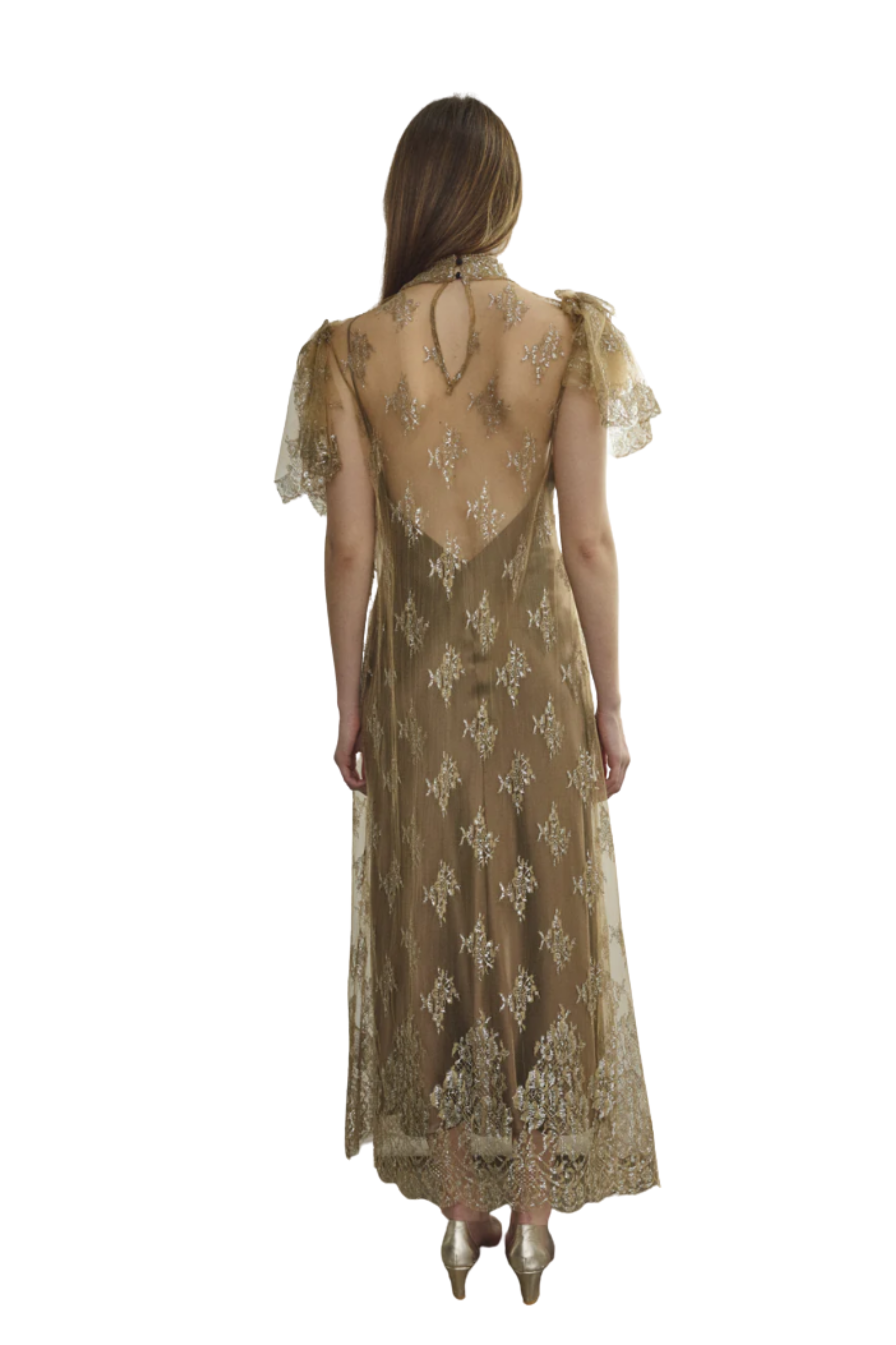 Moony Lace Gown