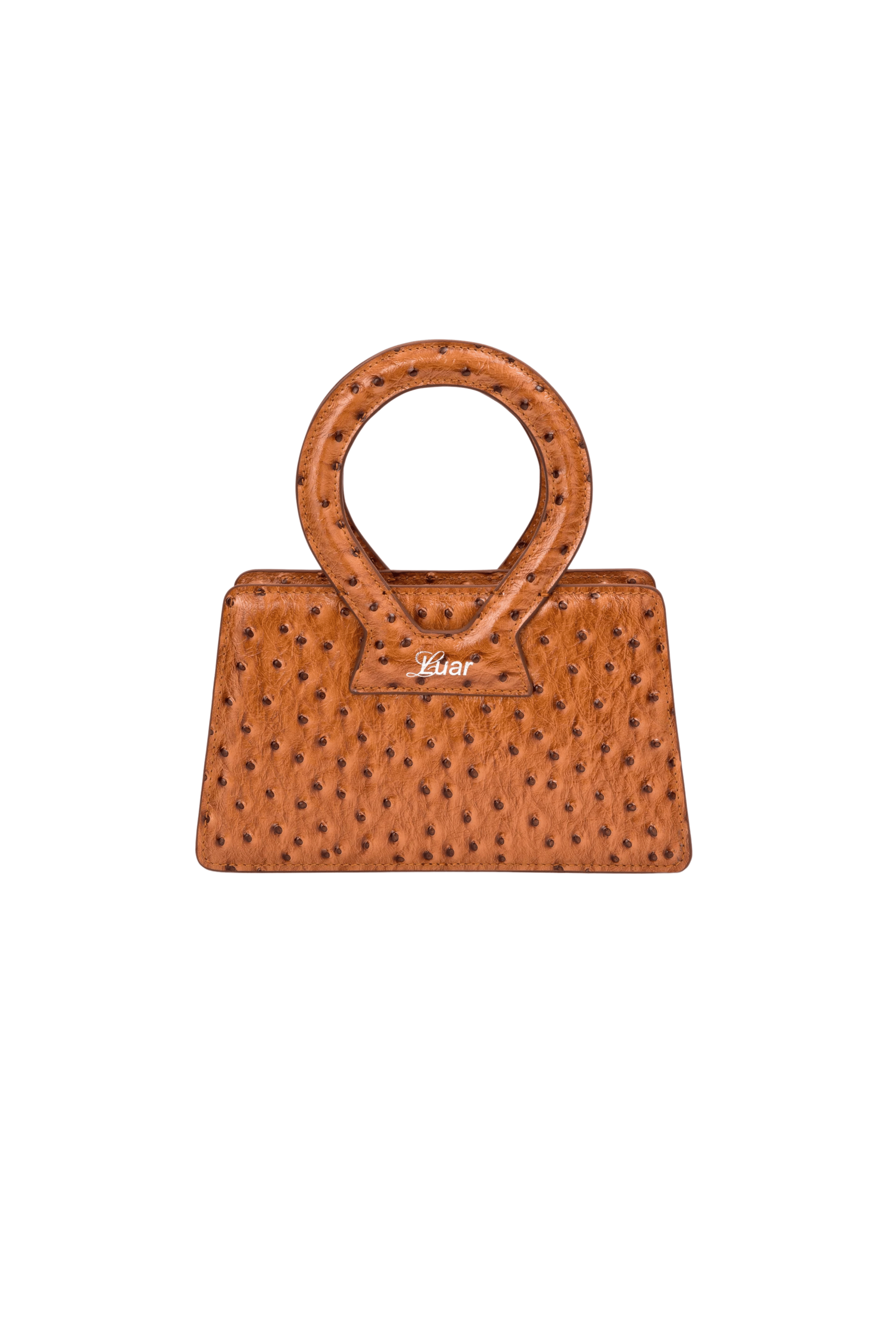 Ana Small Embossed Ostrich Bag