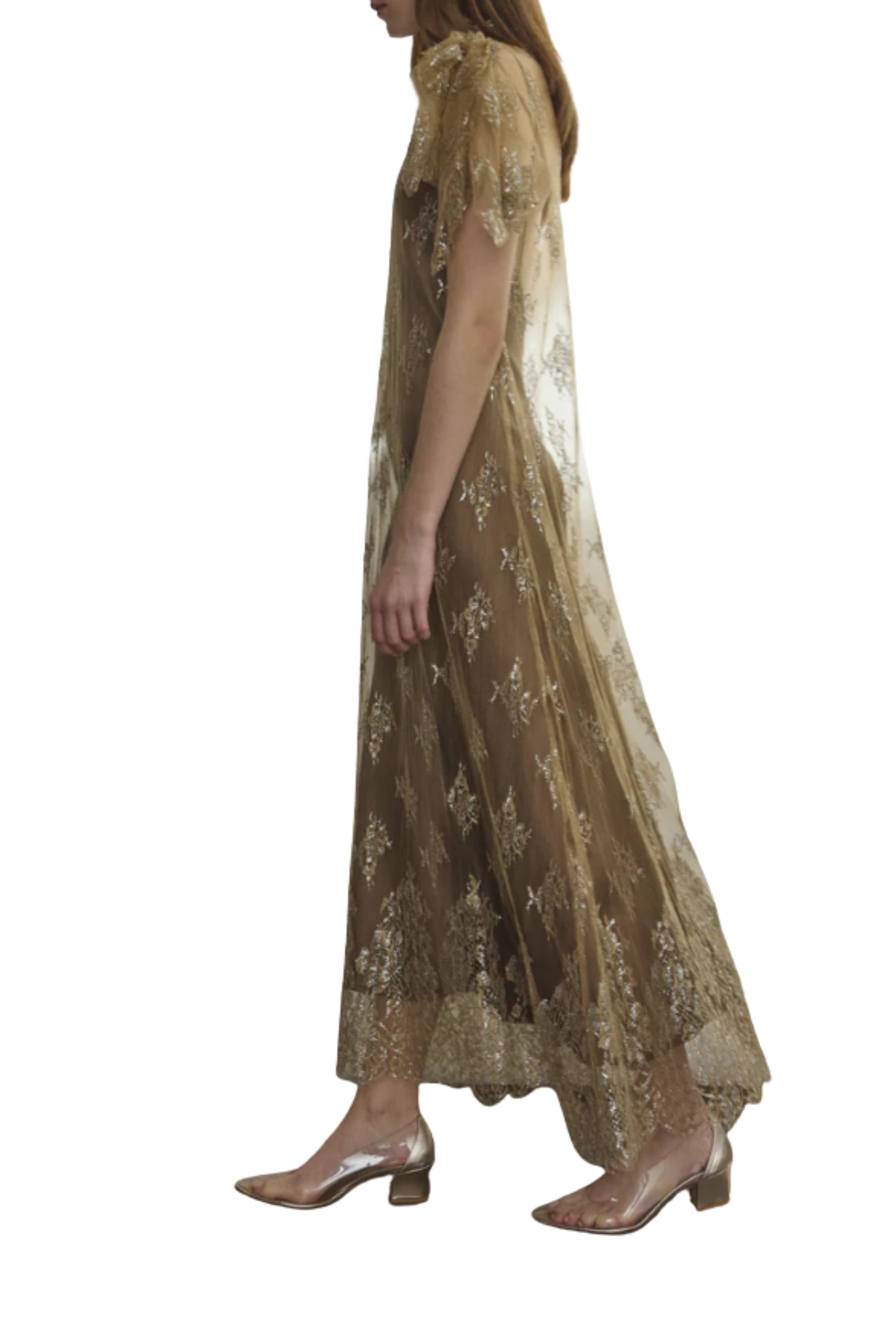 Moony Lace Gown