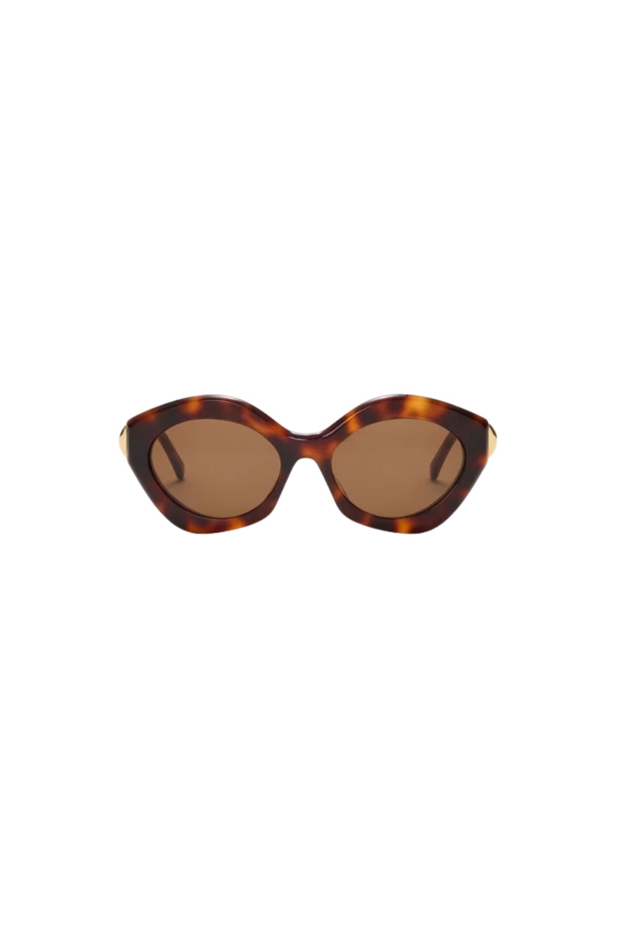 Coil Sunglasses - Dark Havana / Brown