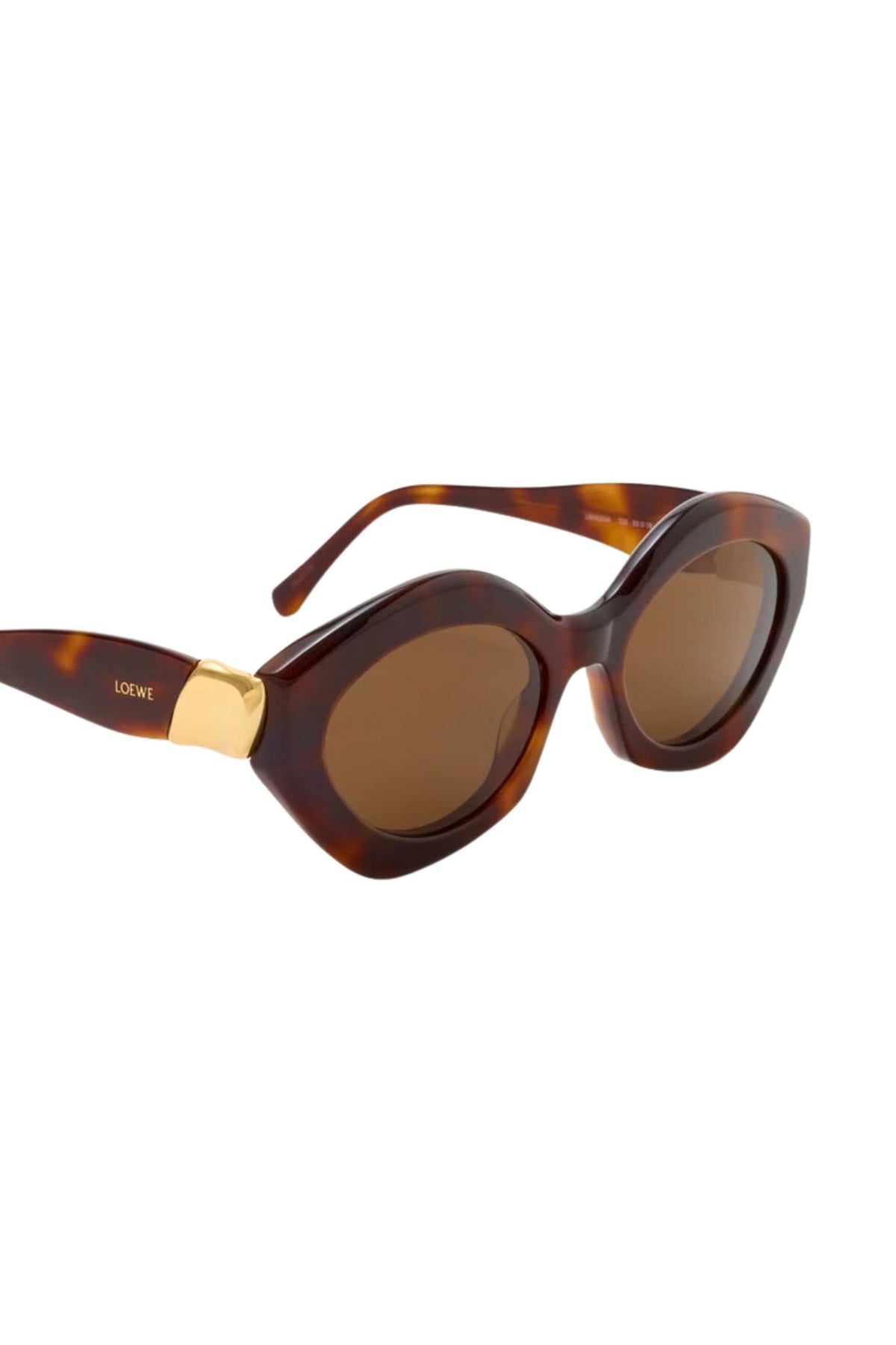 Coil Sunglasses - Dark Havana / Brown