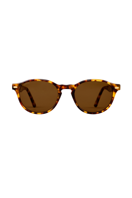 Miremba Sunglasses in Havana