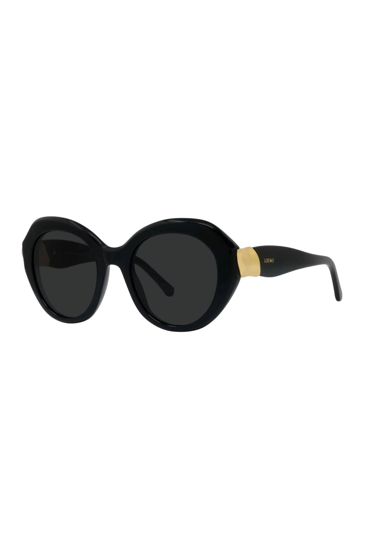 Coil Sunglasses - Shiny Black / Smoke