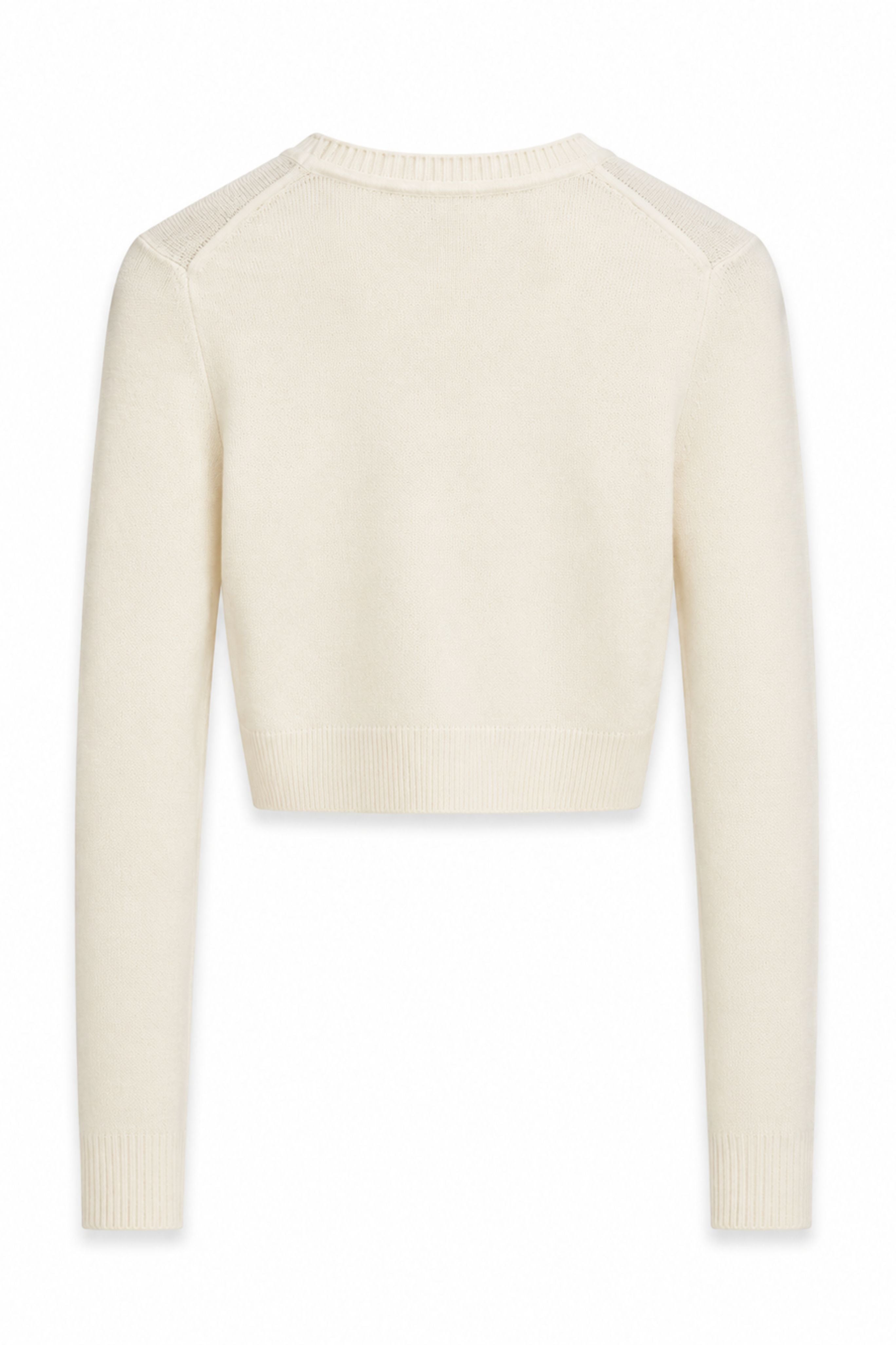 Longsleeve Crop Top