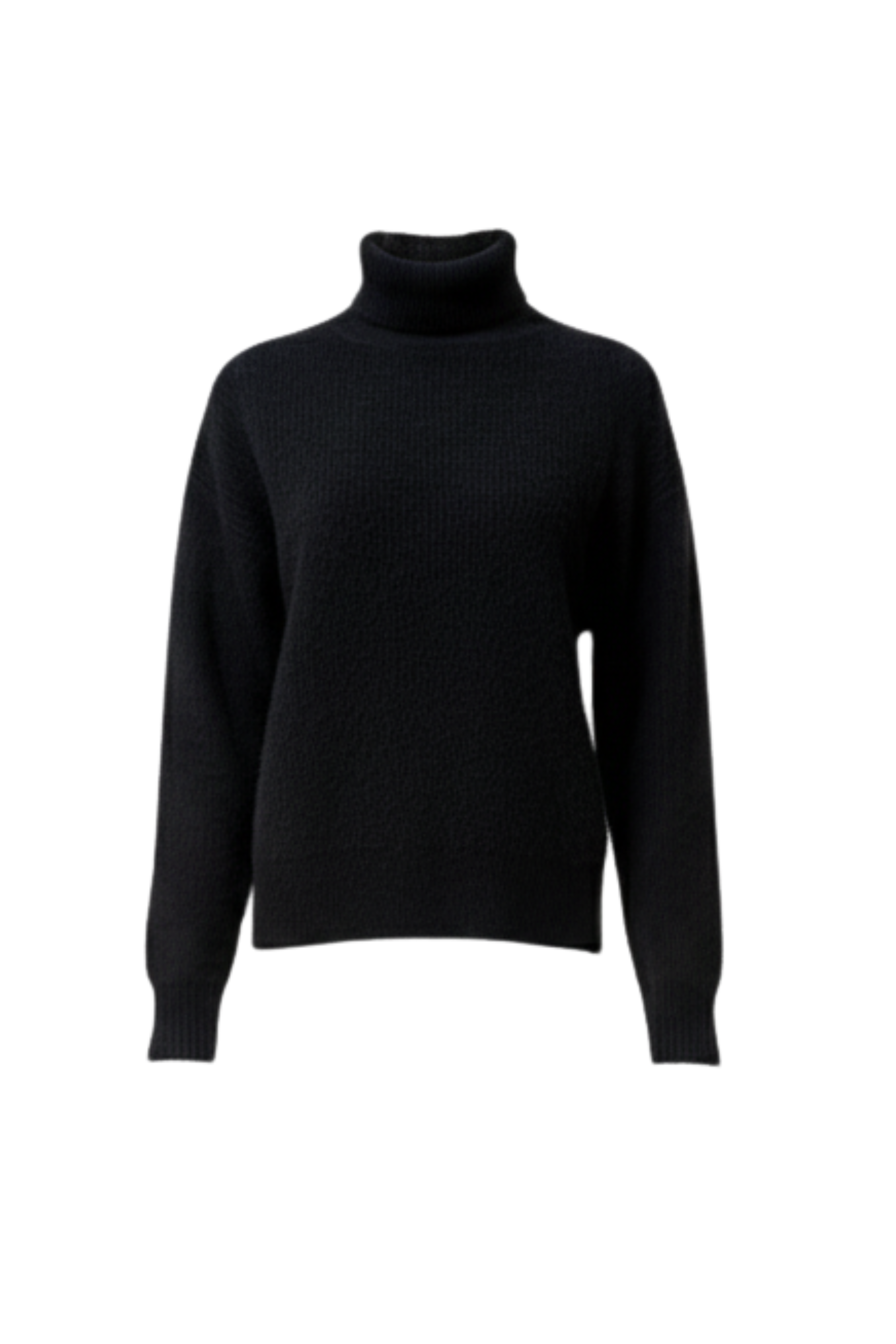Junko Turtleneck Sweater