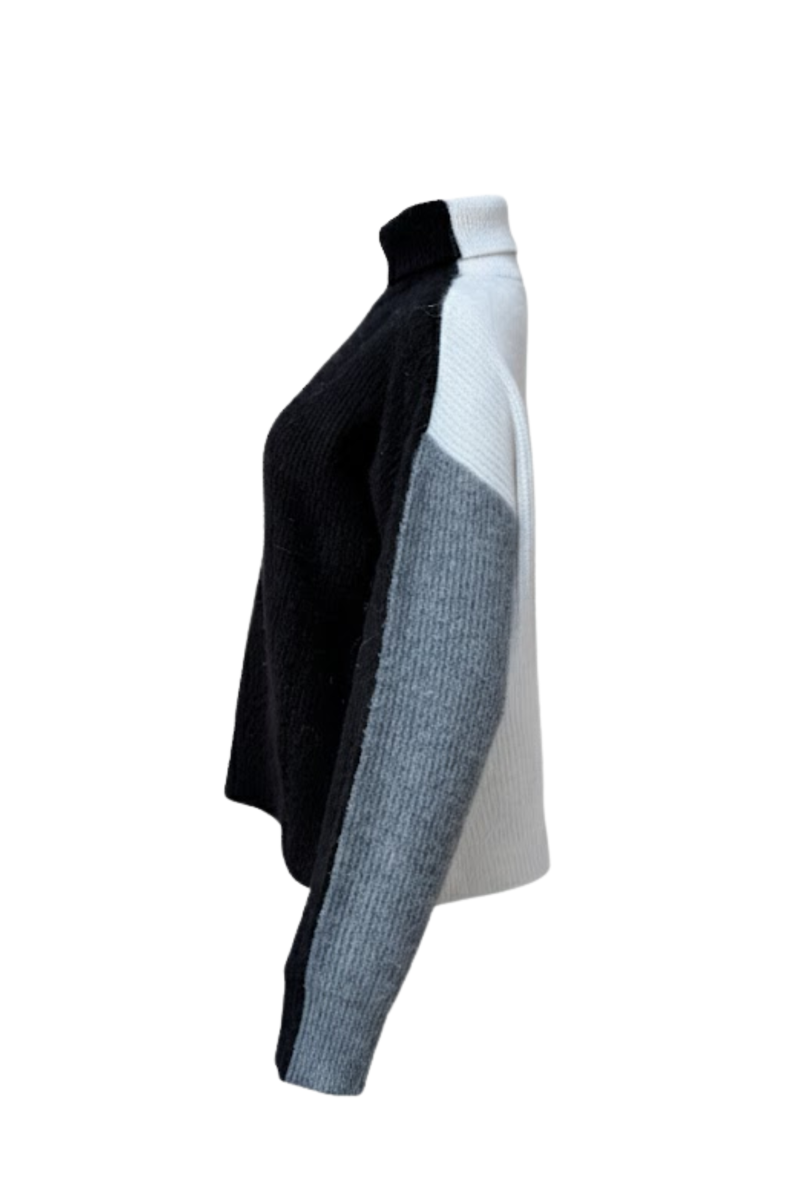 Junko Turtleneck Sweater