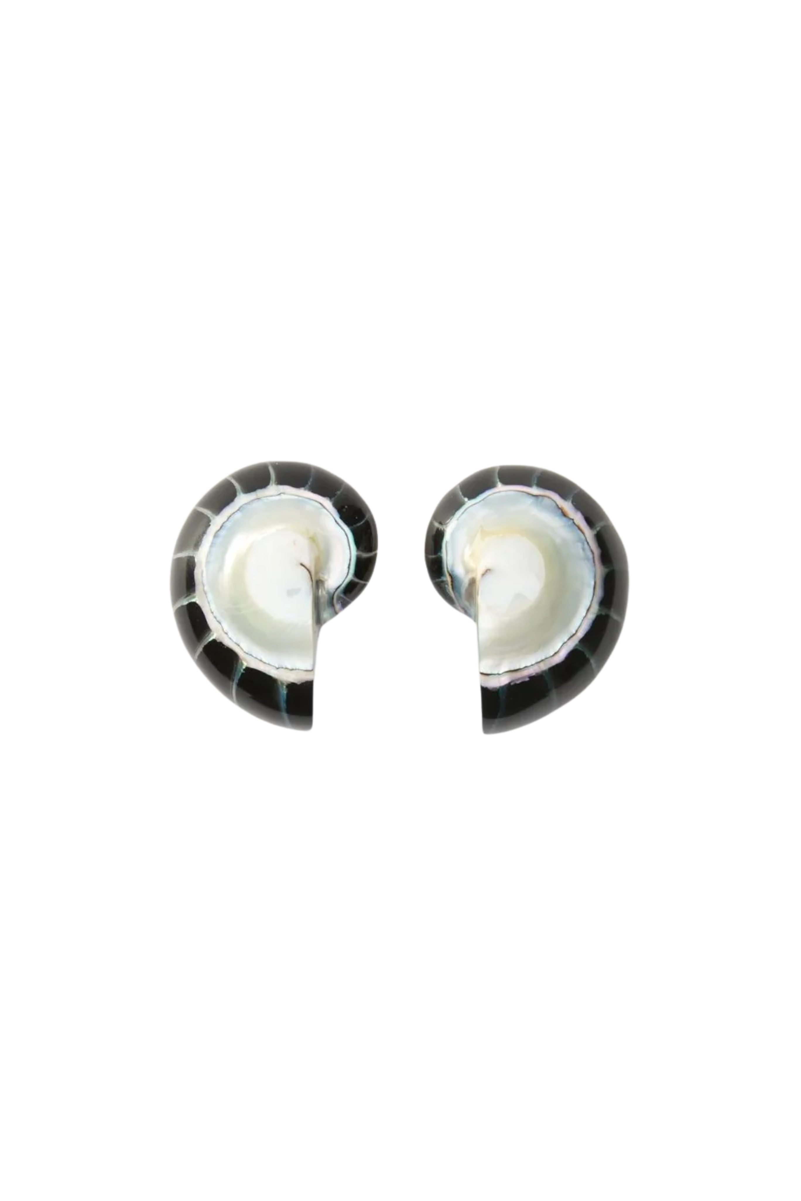 Nautilus Earrings - Black