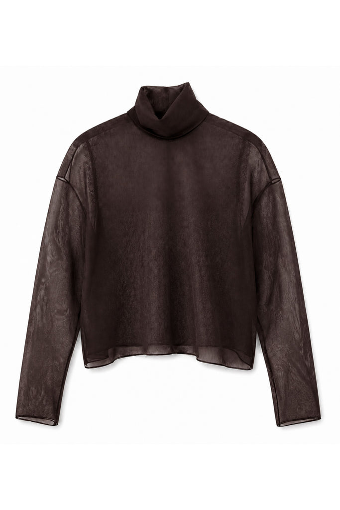 Organza & Lace Top
